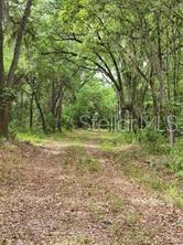 E HWY 318, CITRA, FL, 32113
