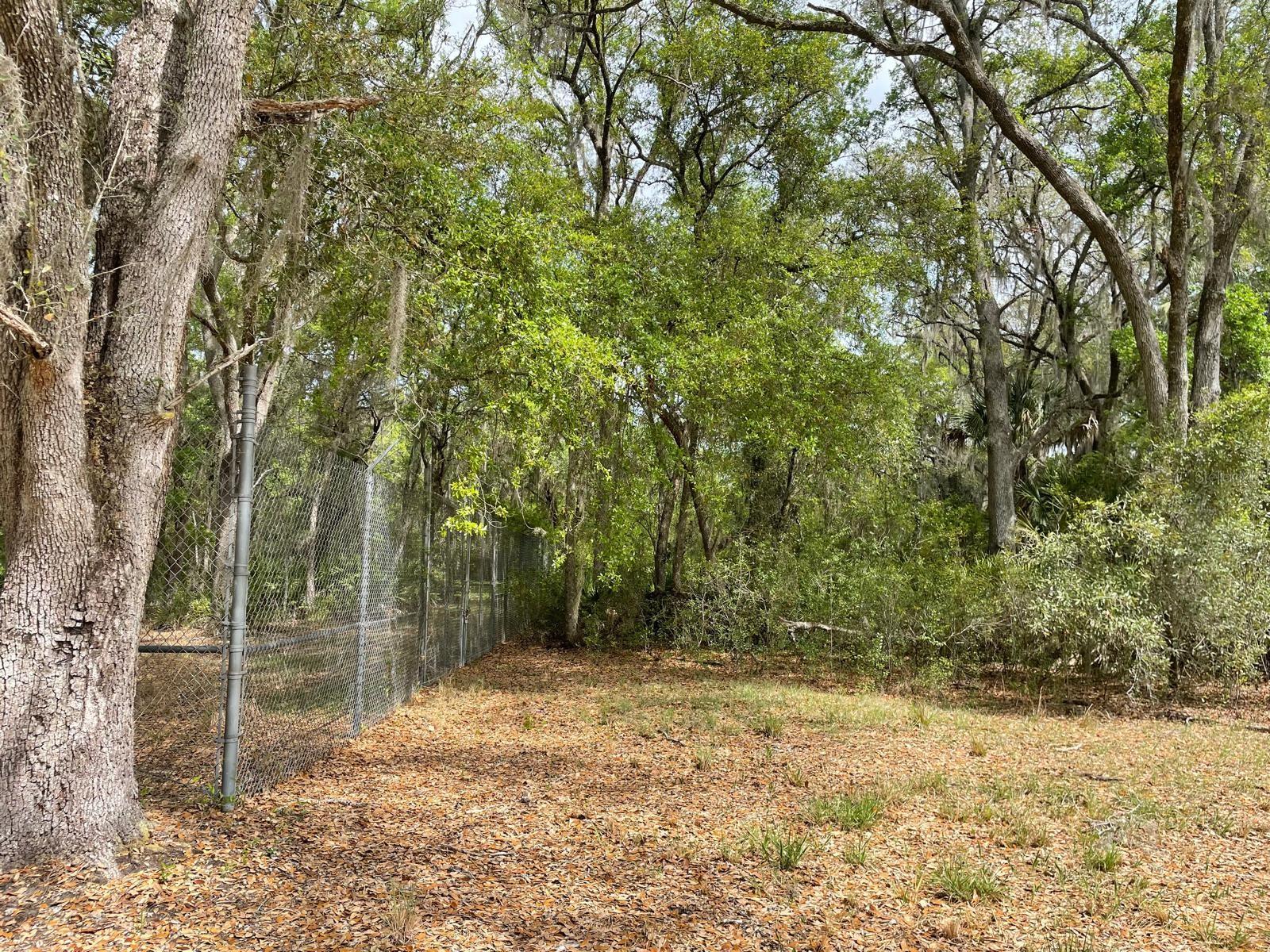 E HWY 318, CITRA, FL, 32113