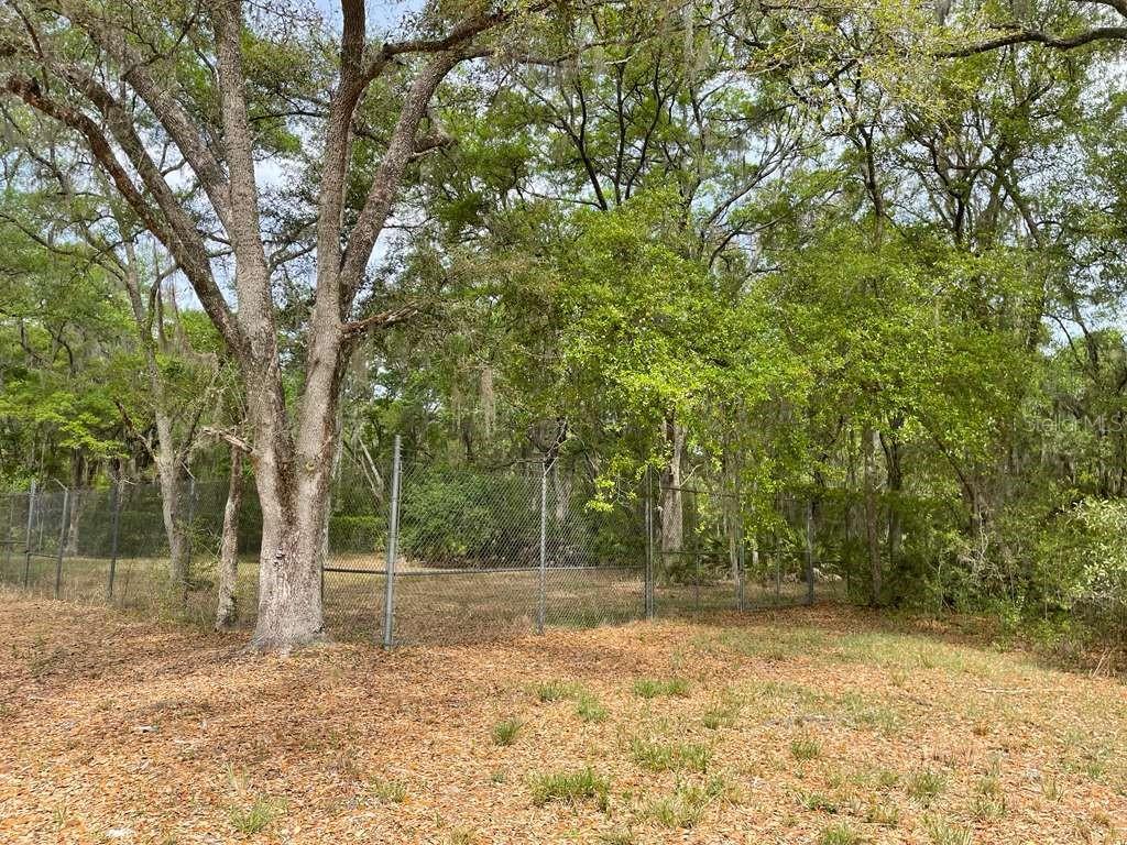 E HWY 318, CITRA, FL, 32113