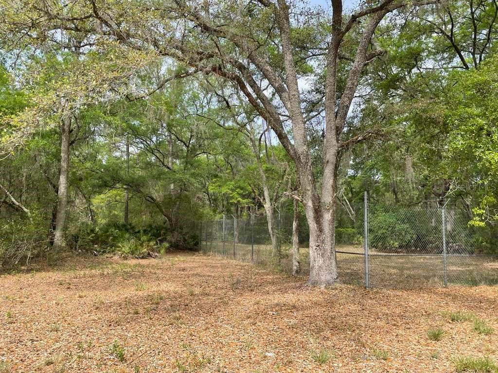 E HWY 318, CITRA, FL, 32113