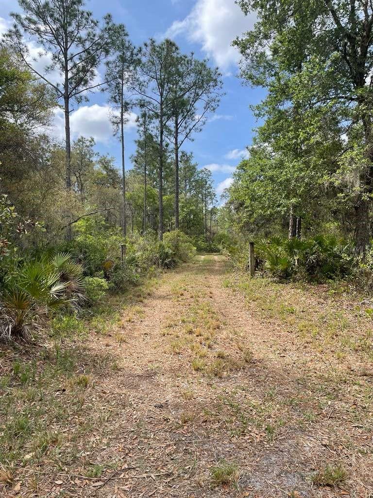 E HWY 318, CITRA, FL, 32113