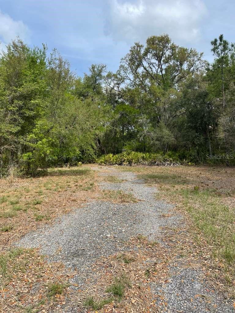 E HWY 318, CITRA, FL, 32113