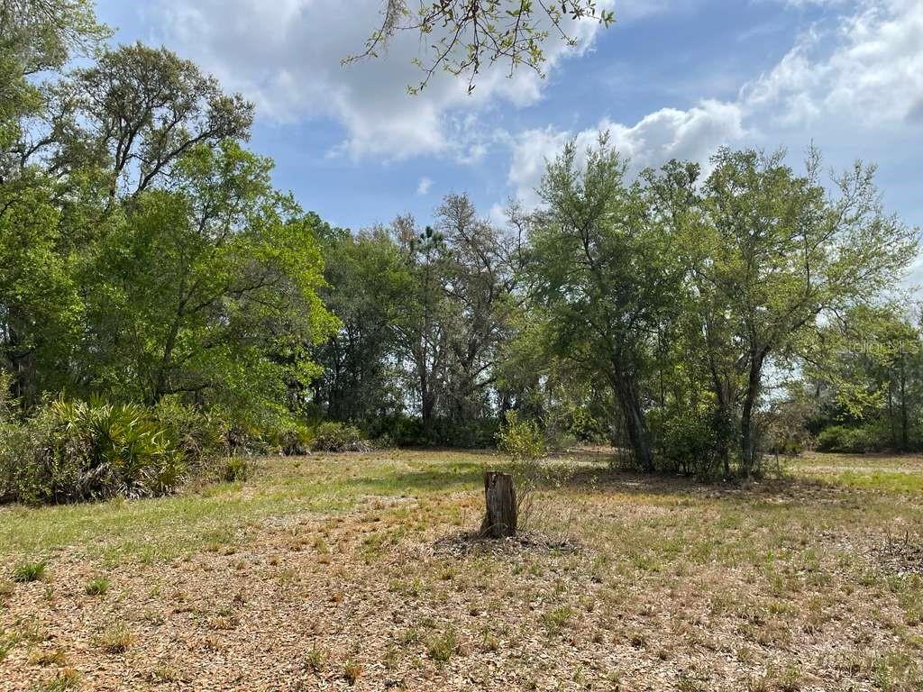 E HWY 318, CITRA, FL, 32113
