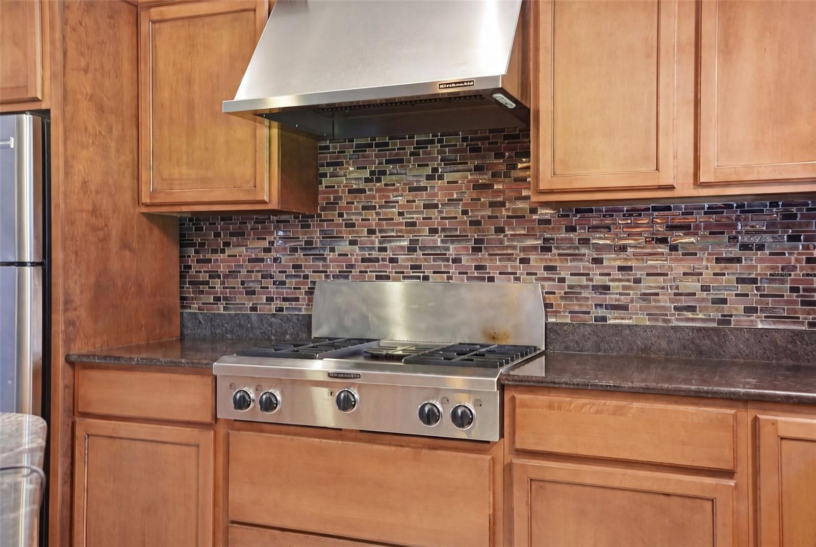 24050 WINDING CREEK DR, BROOKSVILLE, FL, 34601
