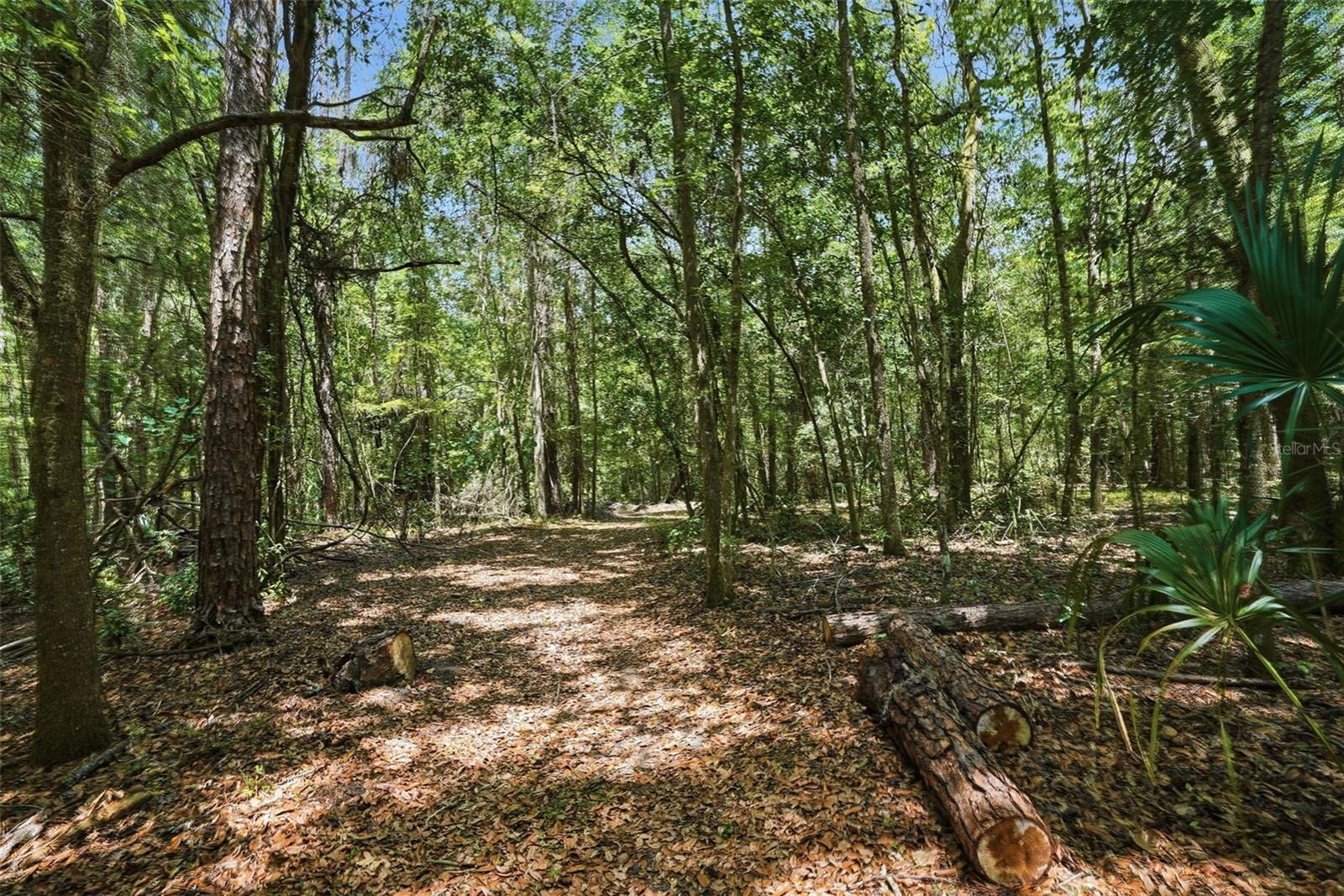 24050 WINDING CREEK DR, BROOKSVILLE, FL, 34601