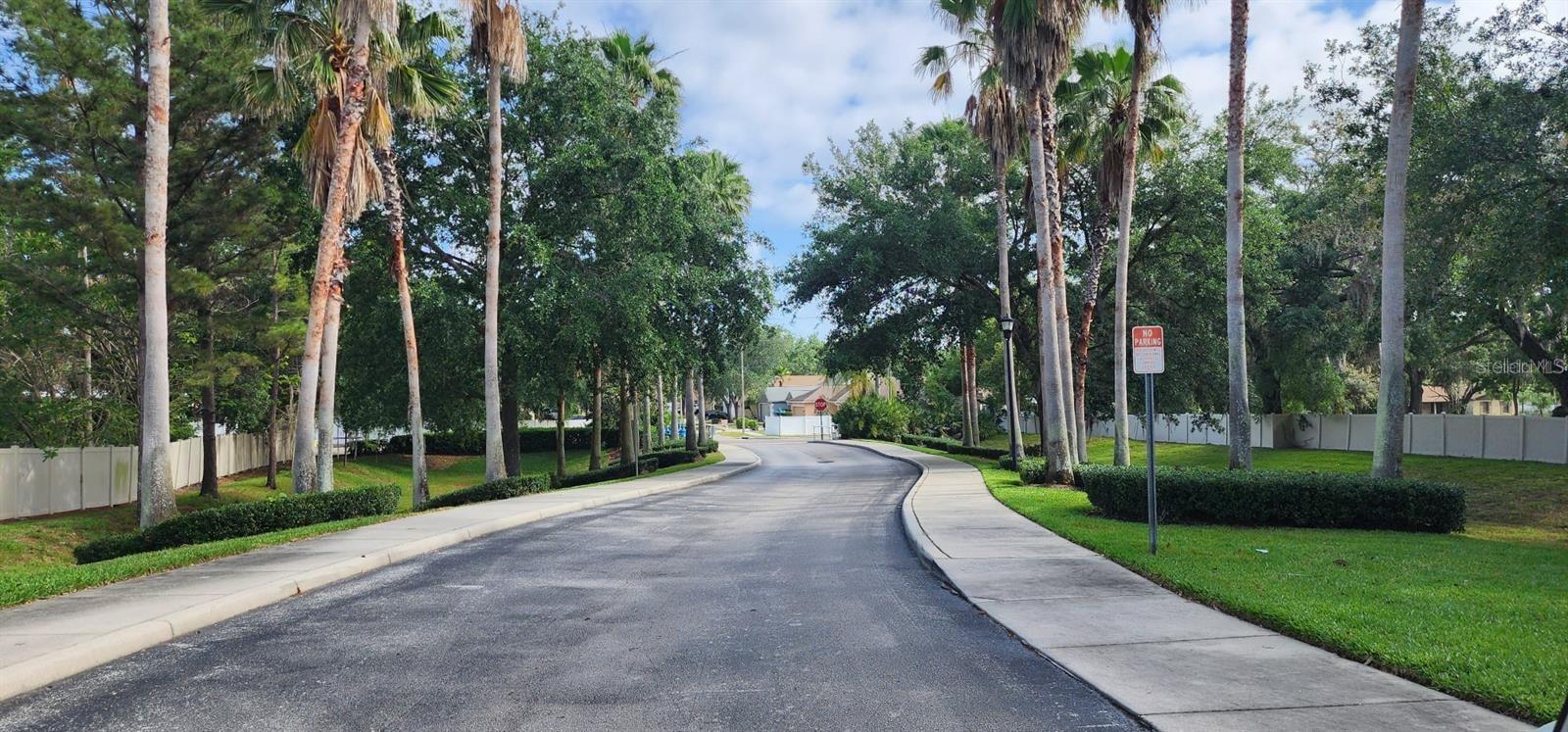 4514 LIMERICK DR, TAMPA, FL, 33610