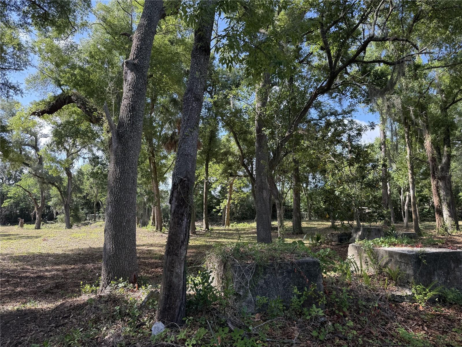 521 E CLAY AVE, BRANDON, FL, 33510