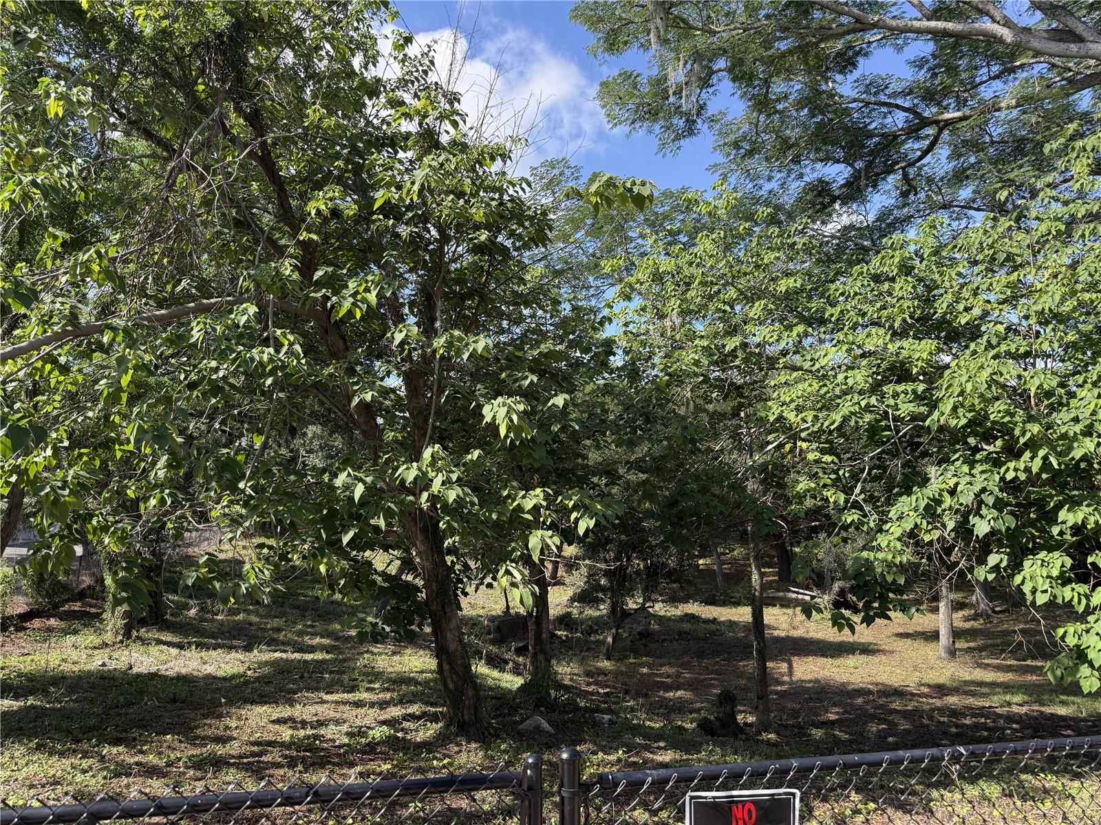 521 E CLAY AVE, BRANDON, FL, 33510
