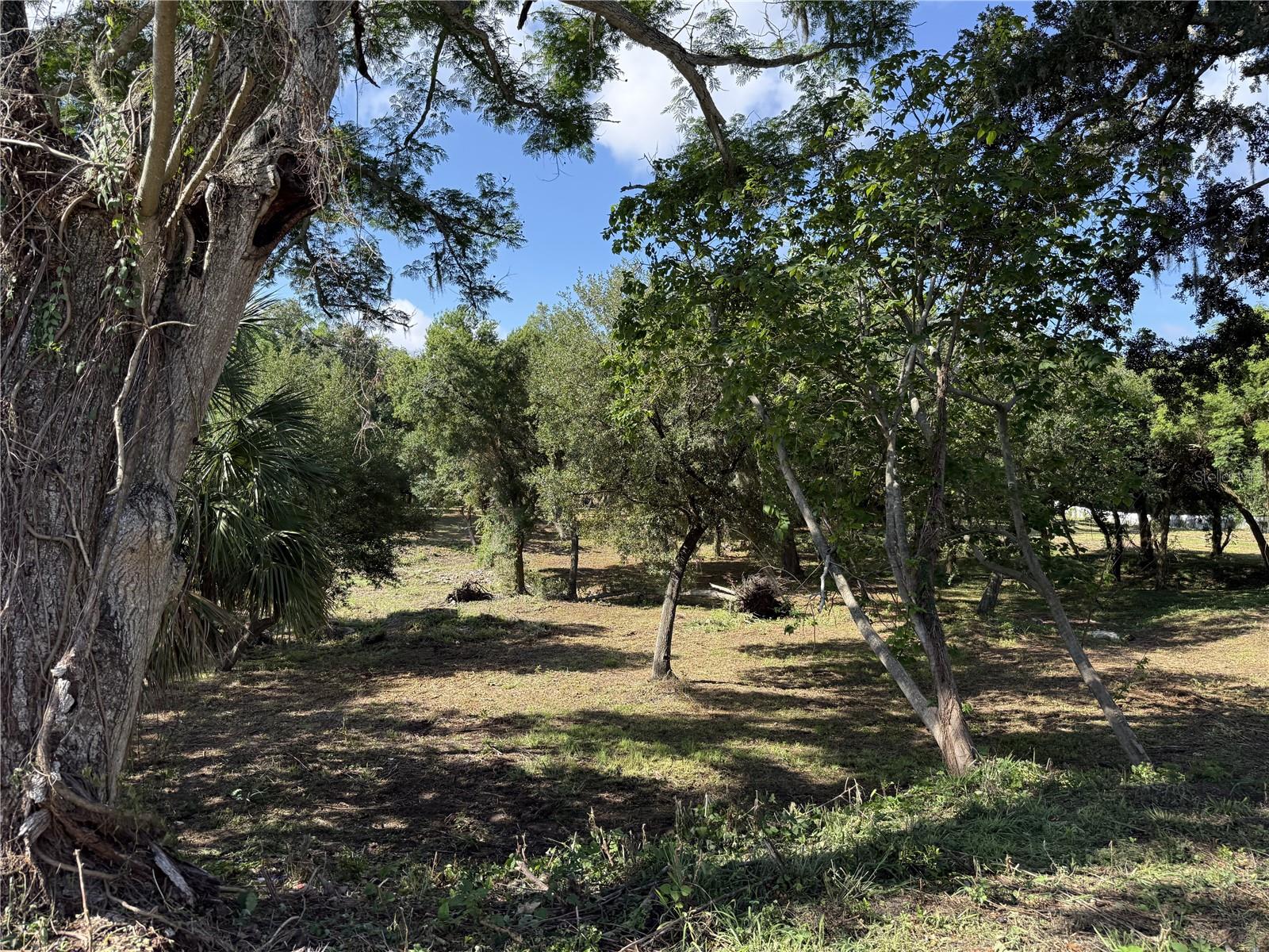 521 E CLAY AVE, BRANDON, FL, 33510