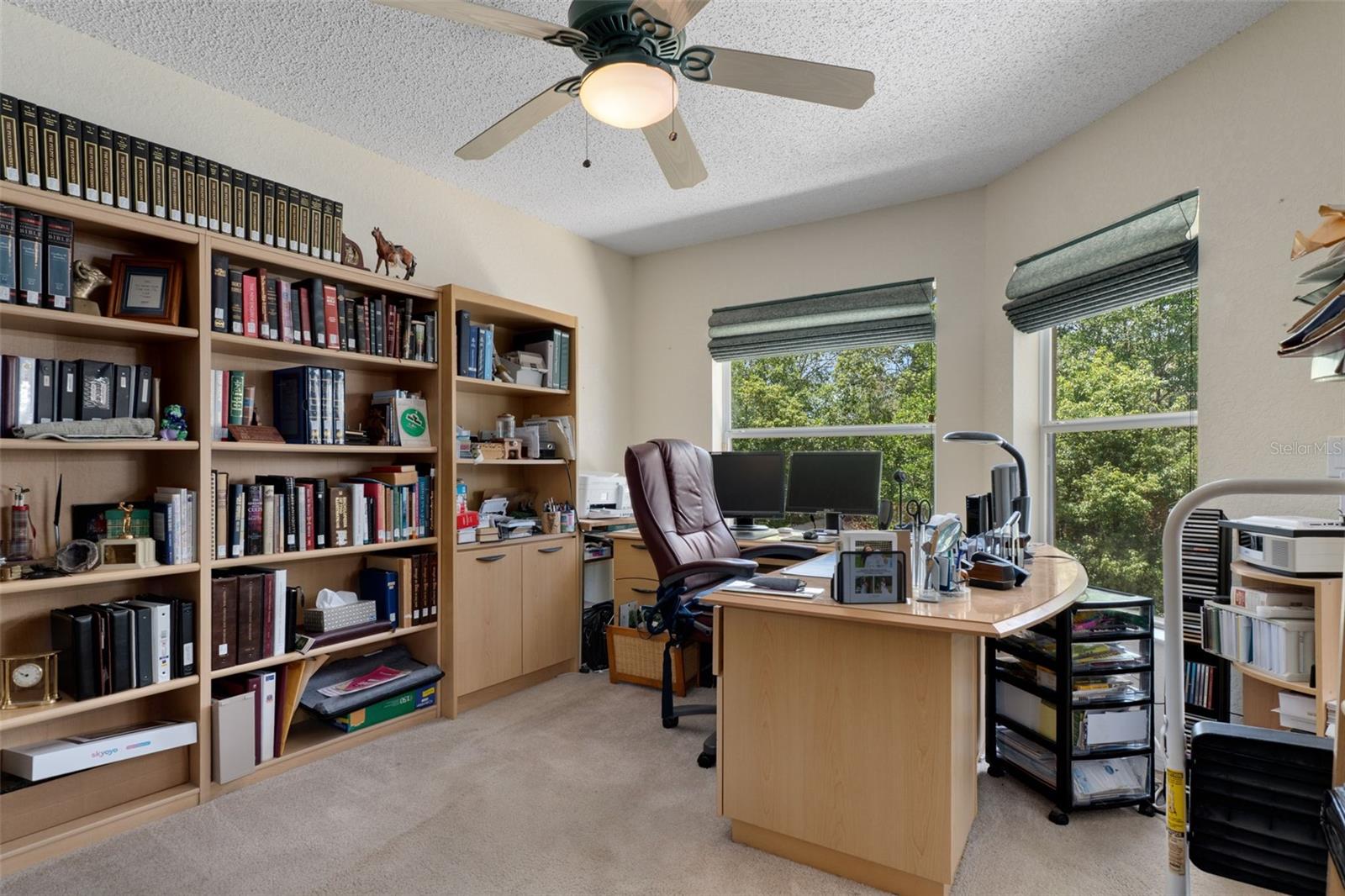 13339 BREWSTER RD, SPRING HILL, FL, 34609