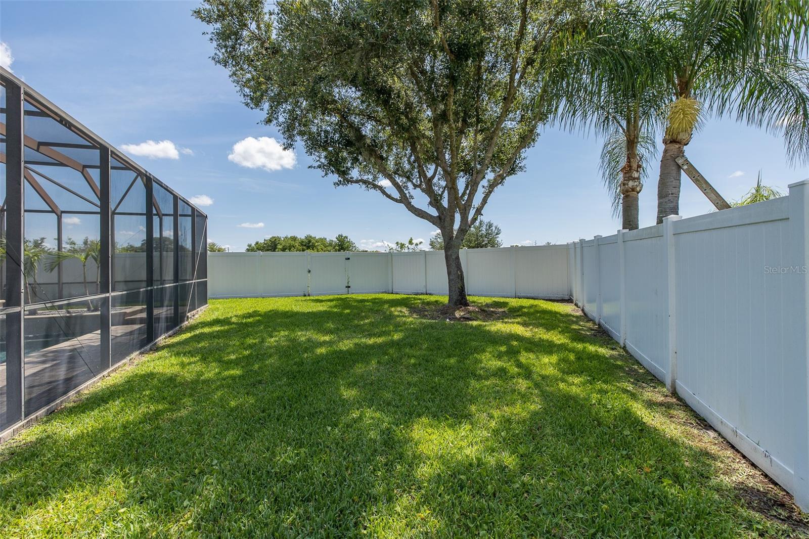 8918 LINEBROOK DR, TRINITY, FL, 34655