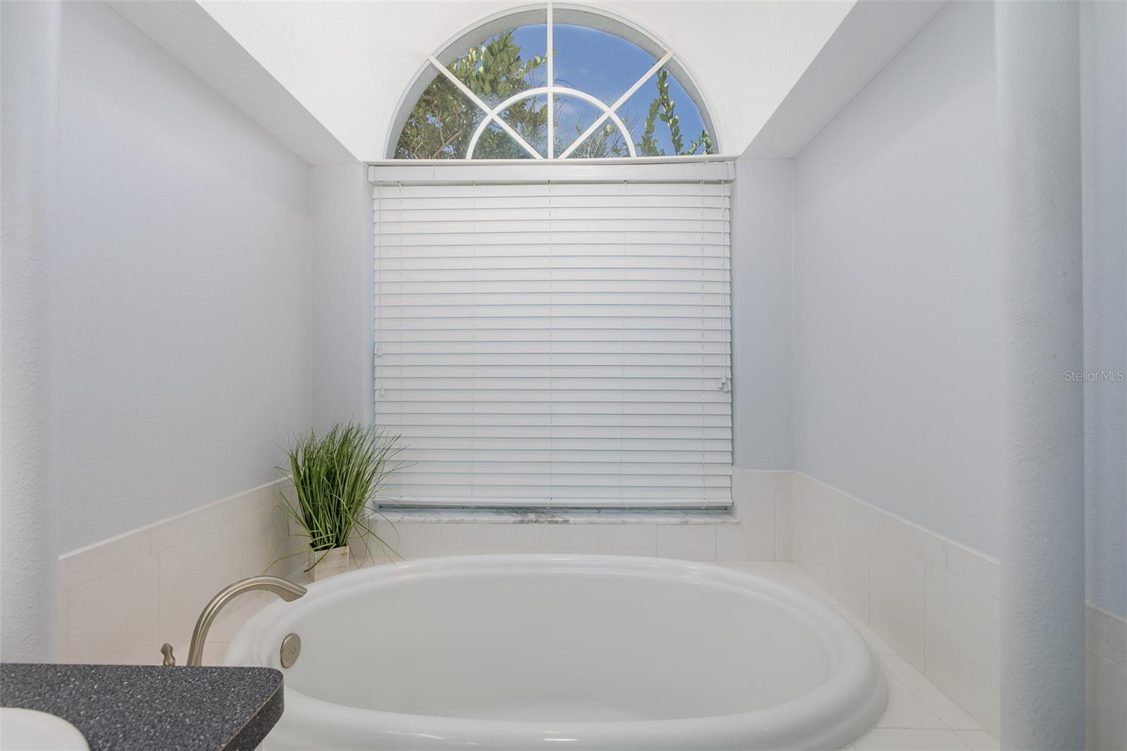 8918 LINEBROOK DR, TRINITY, FL, 34655