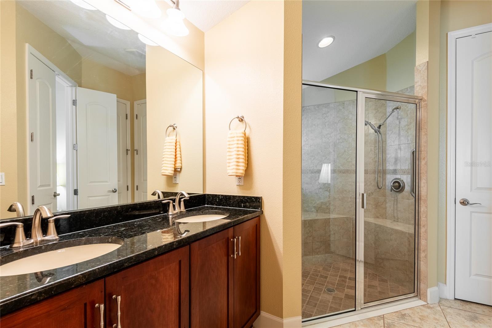 20305 ASH GROVE LN, TAMPA, FL, 33647