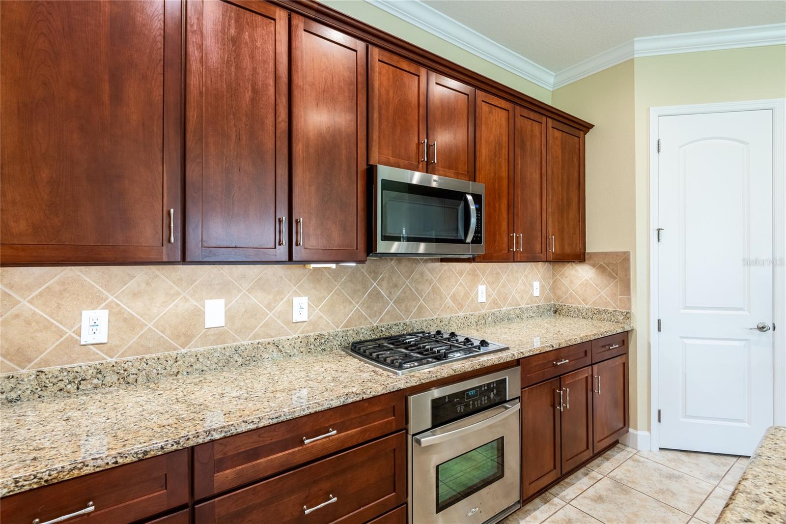 20305 ASH GROVE LN, TAMPA, FL, 33647