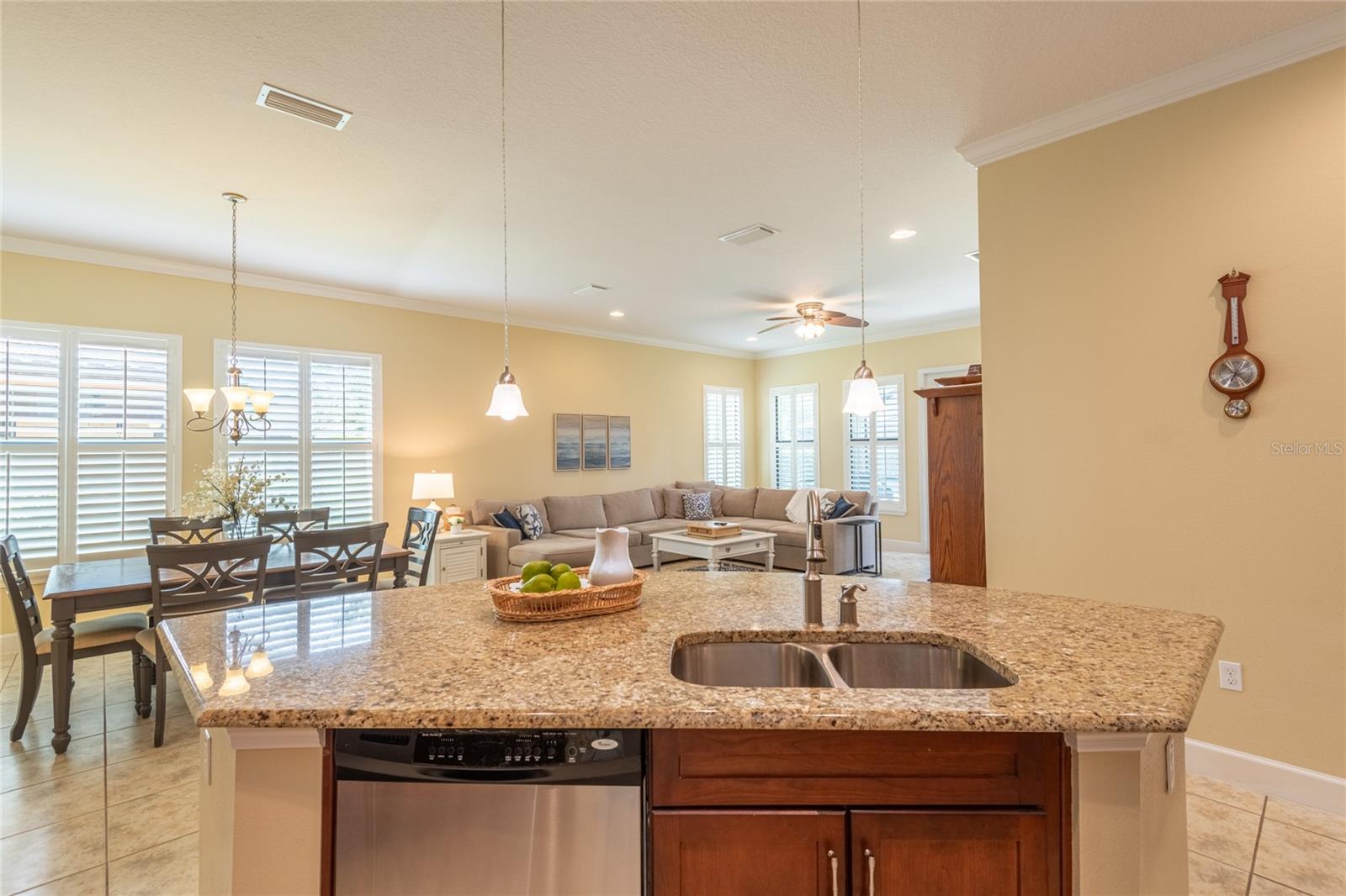 20305 ASH GROVE LN, TAMPA, FL, 33647