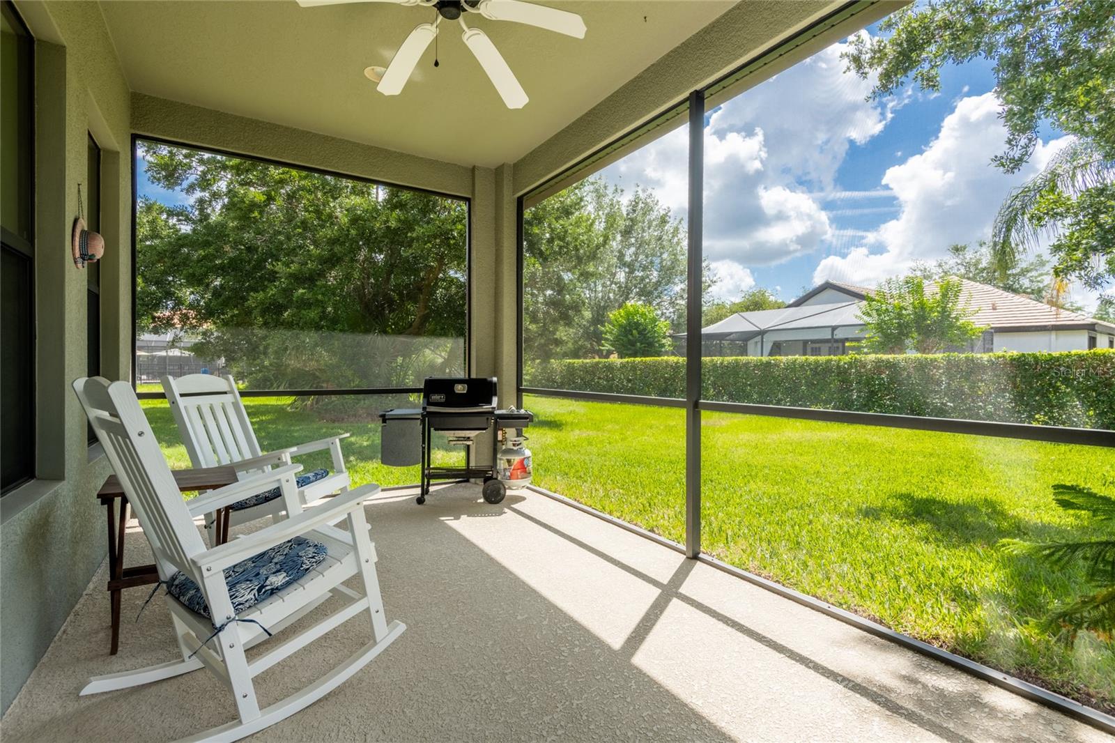 20305 ASH GROVE LN, TAMPA, FL, 33647