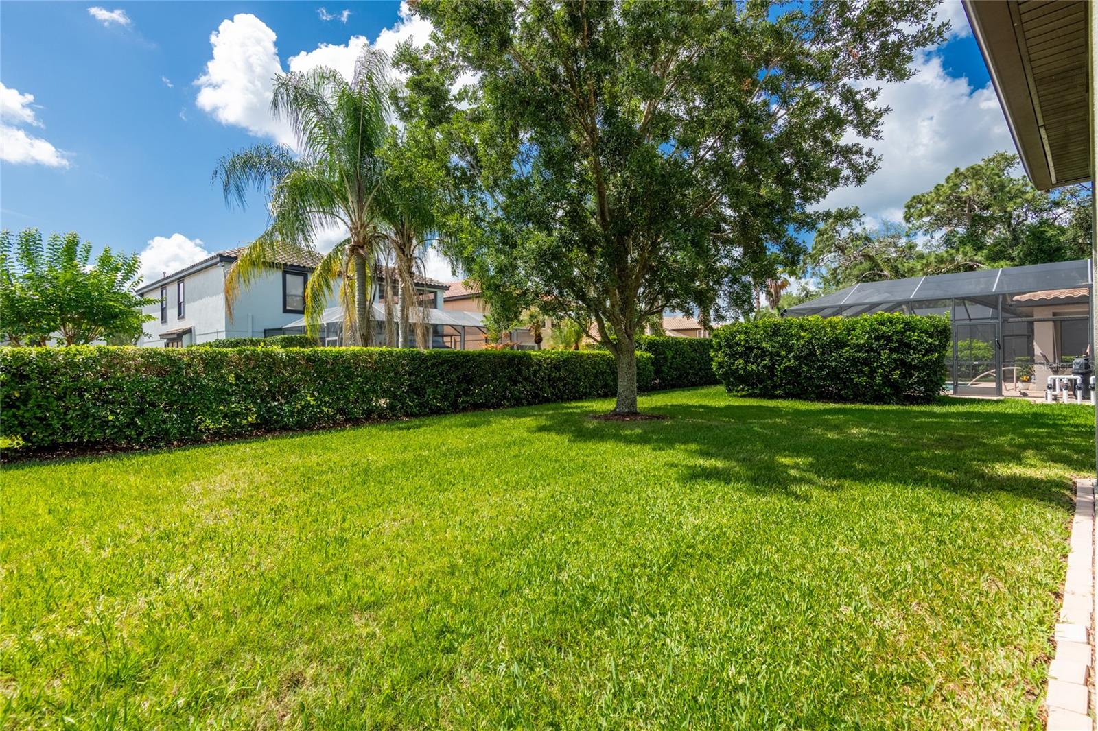 20305 ASH GROVE LN, TAMPA, FL, 33647