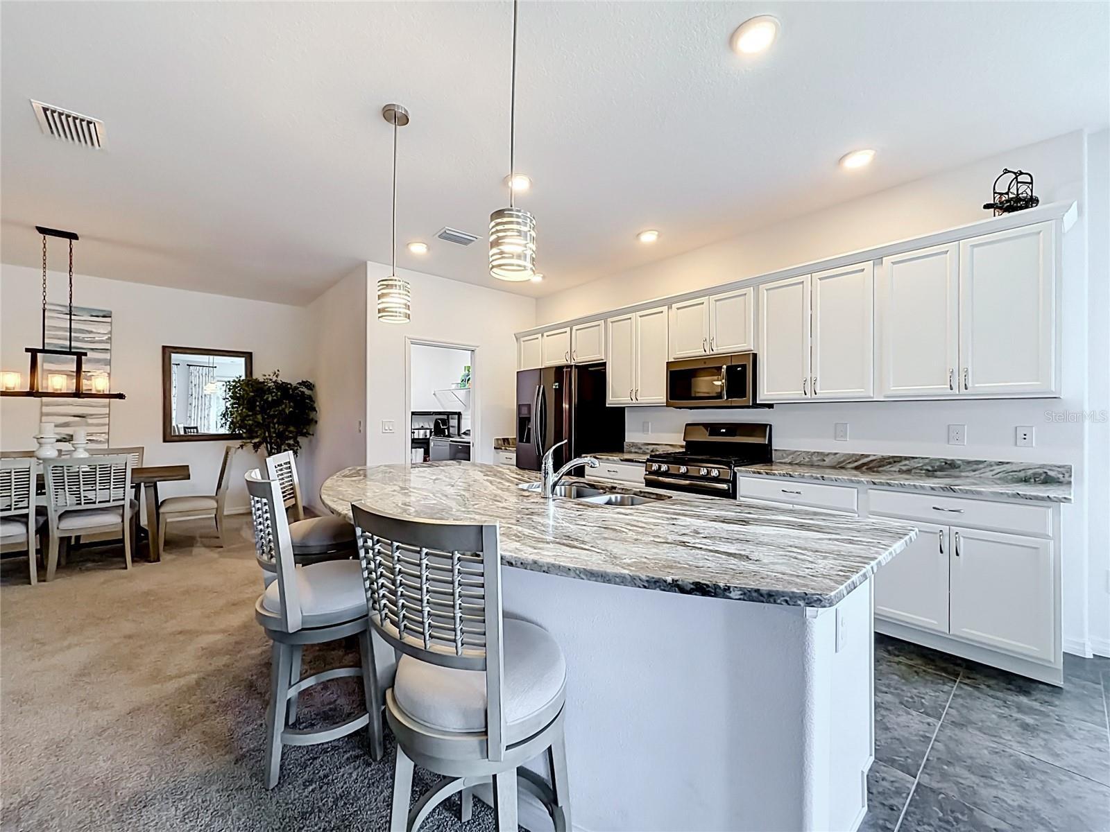 4240 JAMES RIVER CIR, LEESBURG, FL, 34748