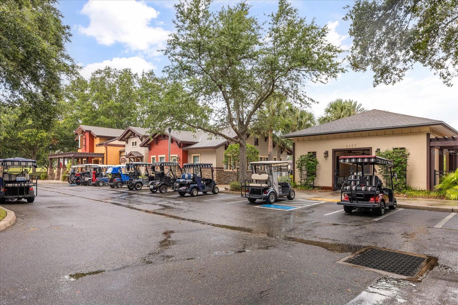 4240 JAMES RIVER CIR, LEESBURG, FL, 34748