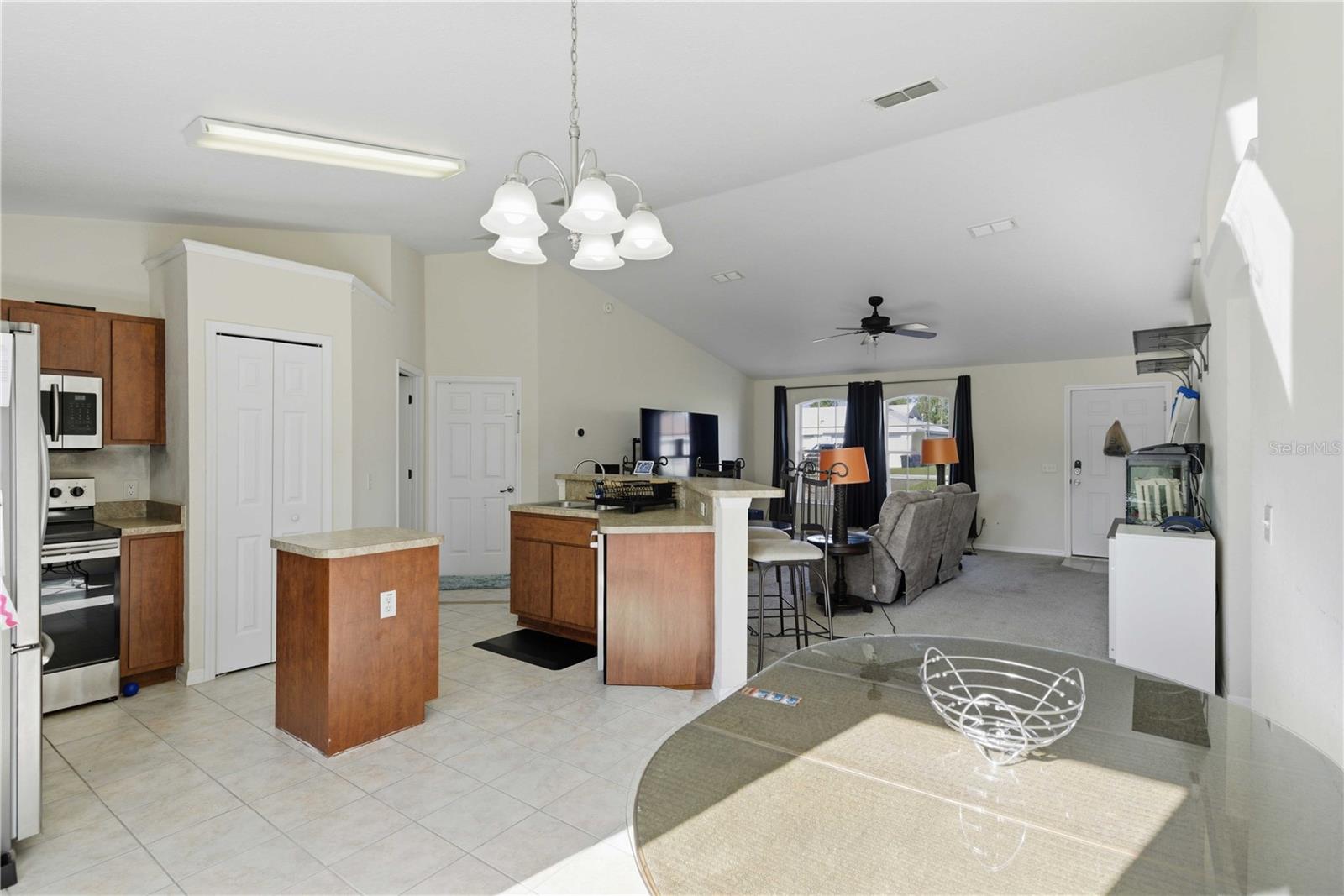 133 JUNIPER LOOP CIR, OCALA, FL, 34480