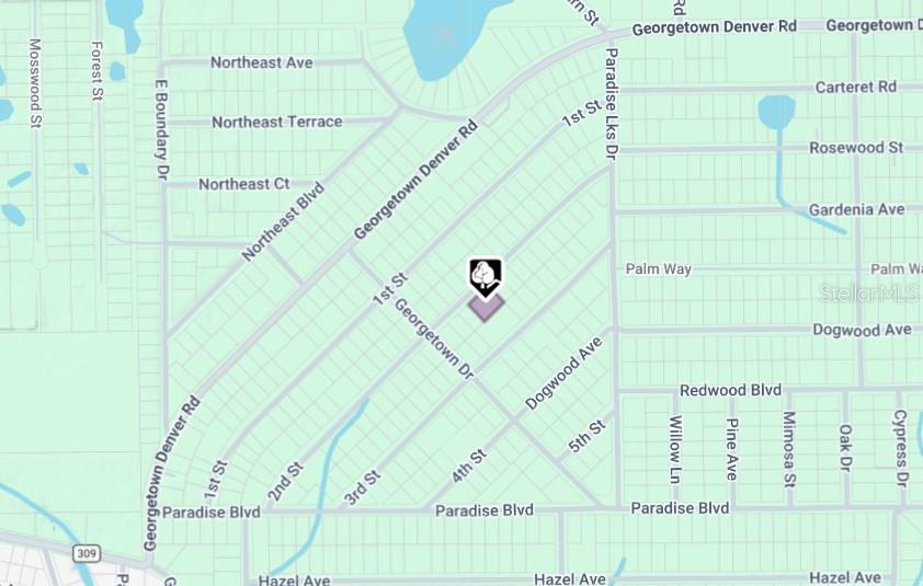 207 SE 2ND ST, GEORGETOWN, FL, 32139