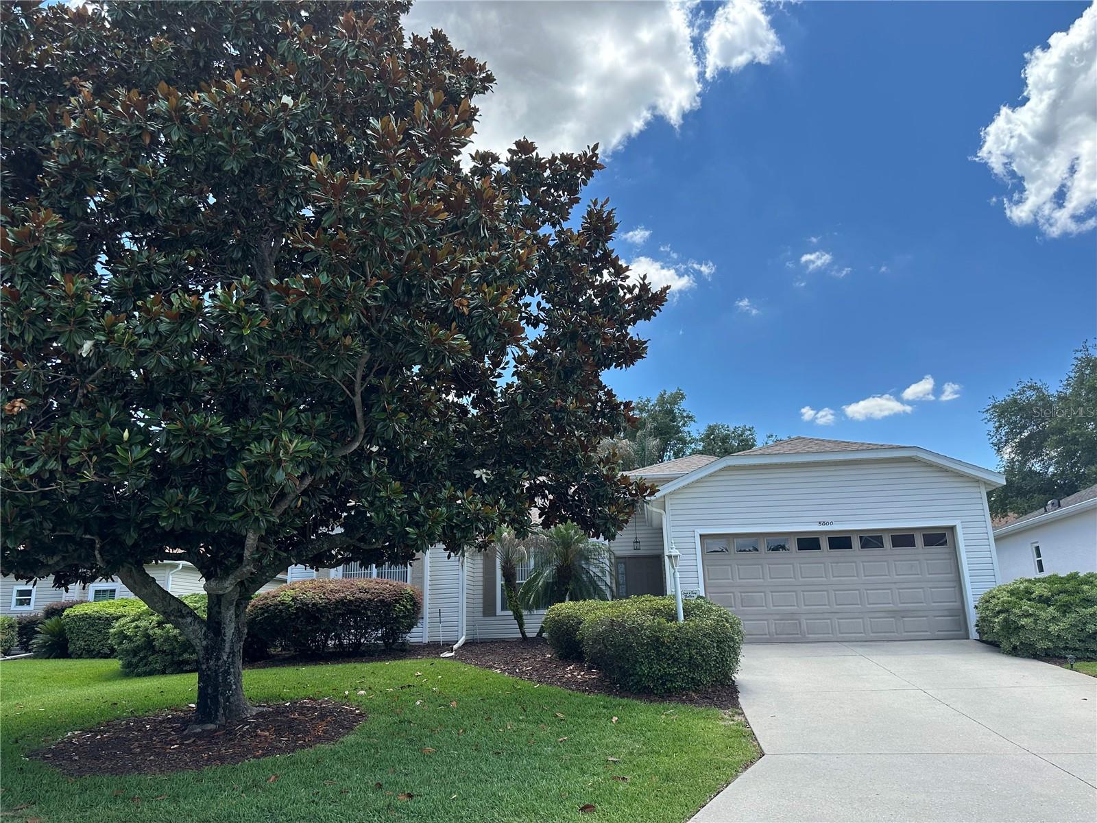 5000 SAWGRASS LAKE CIR, LEESBURG, FL, 34748
