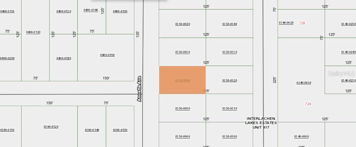 ANNETTE AVE, INTERLACHEN, FL, 32148