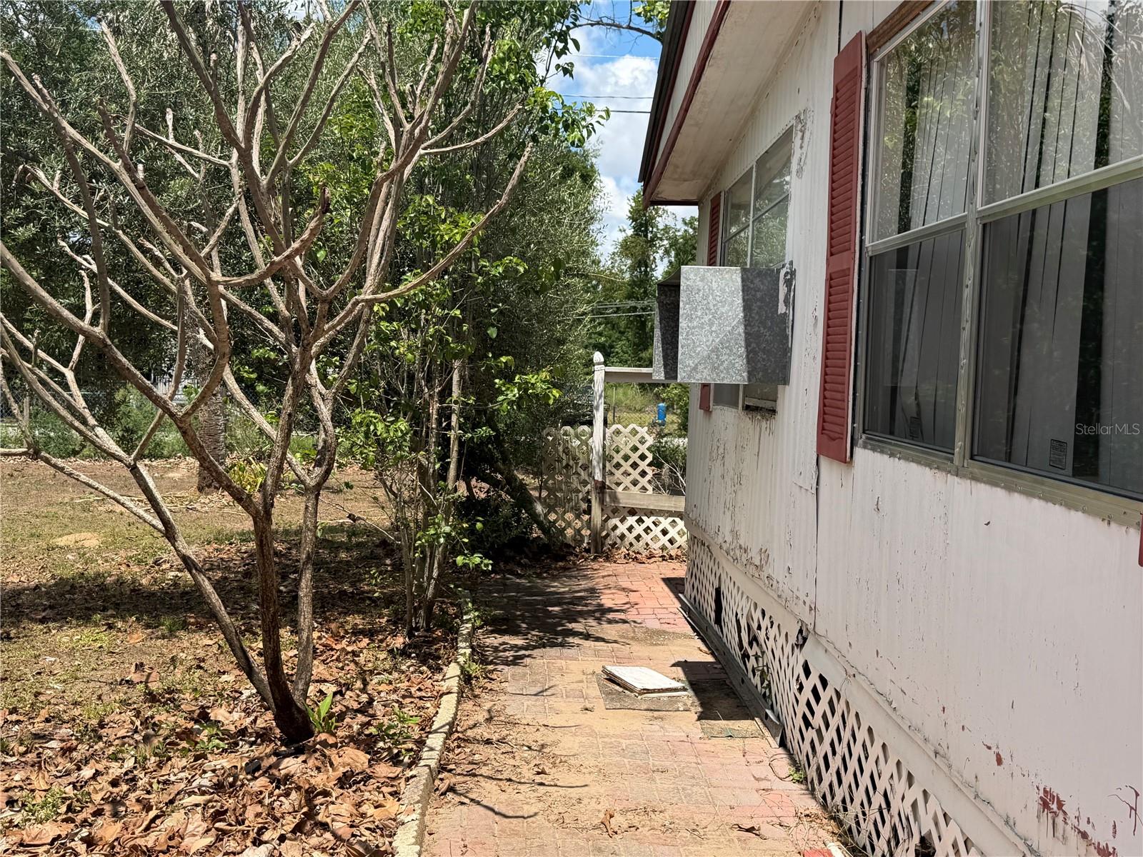 10006 CAUSEY PL, THONOTOSASSA, FL, 33592