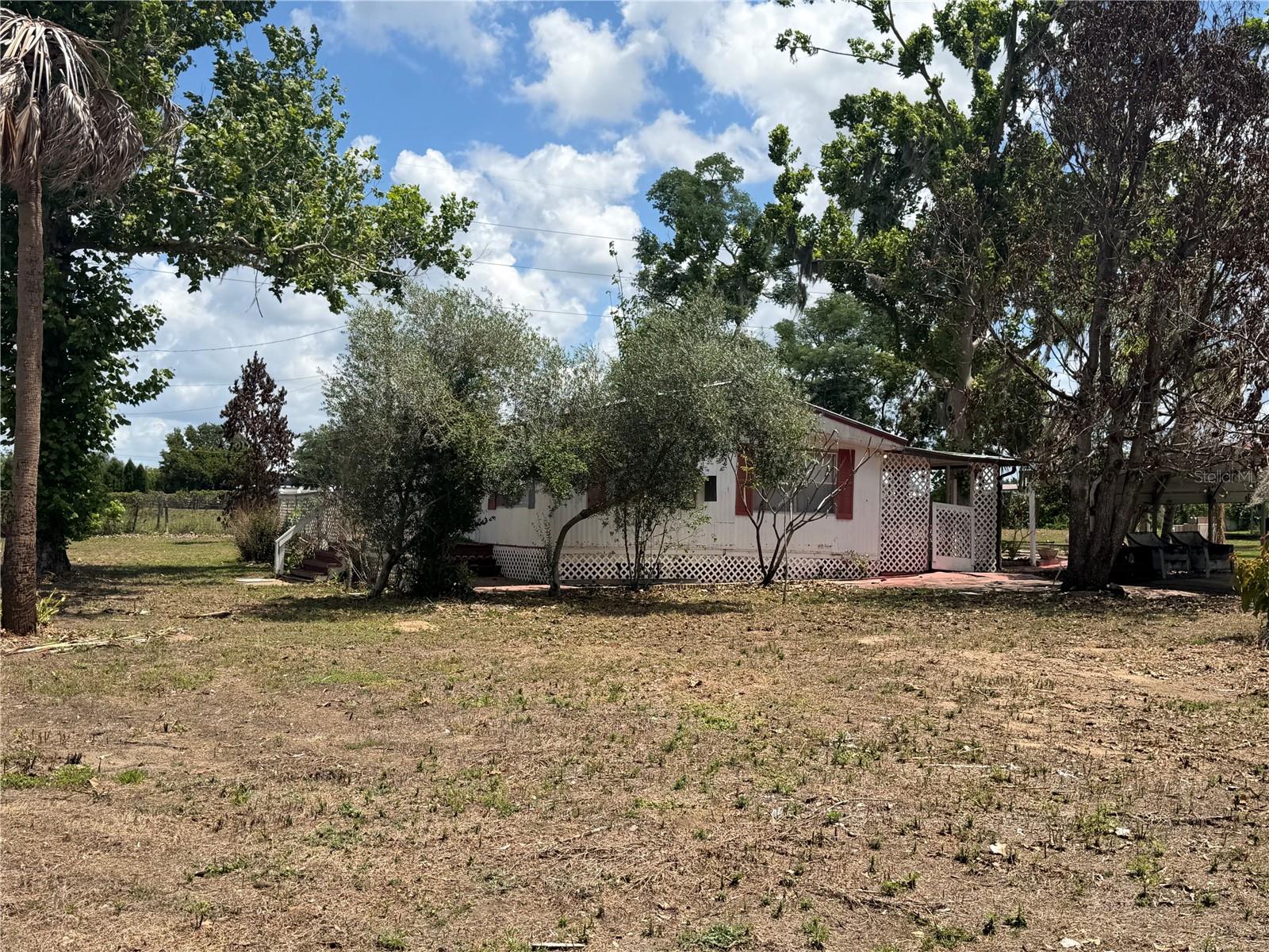 10006 CAUSEY PL, THONOTOSASSA, FL, 33592