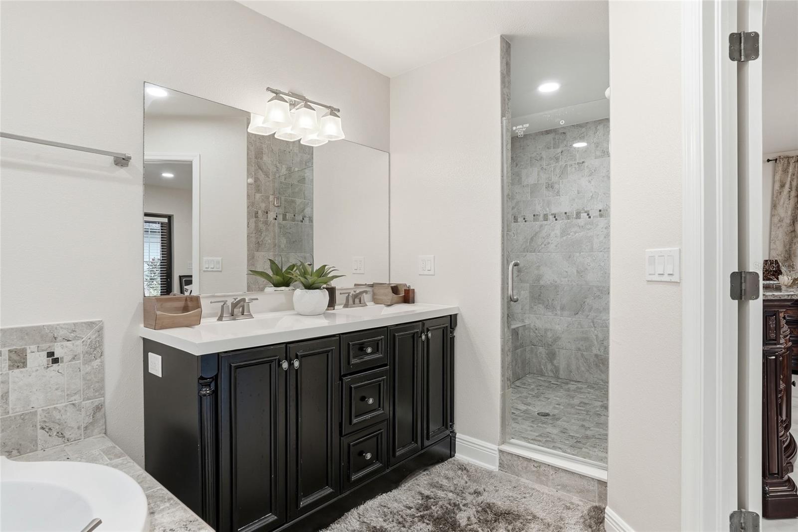 15040 LAKE MAGDALENE BLVD, TAMPA, FL, 33618