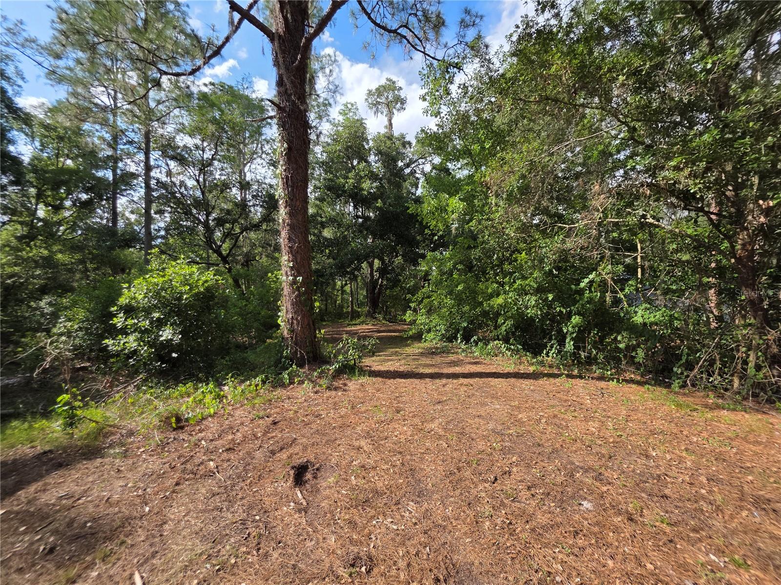 11344 ROCKRIDGE RD, LAKELAND, FL, 33809