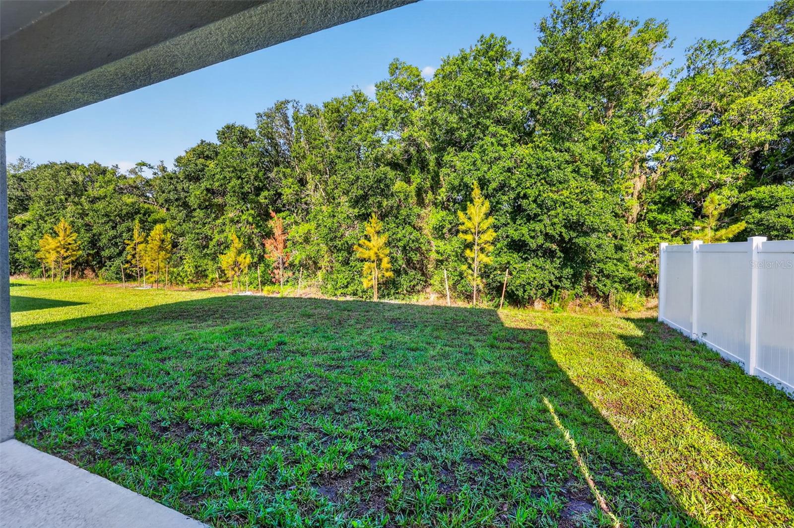12621 MAPLE BONSAI DR, RIVERVIEW, FL, 33579