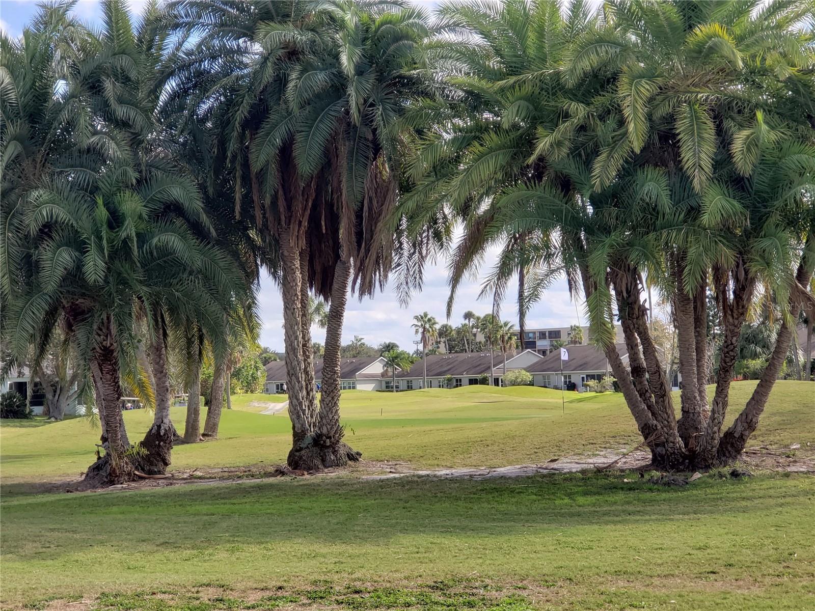 2925 TERRA CEIA BAY BLVD #2203, PALMETTO, FL, 34221