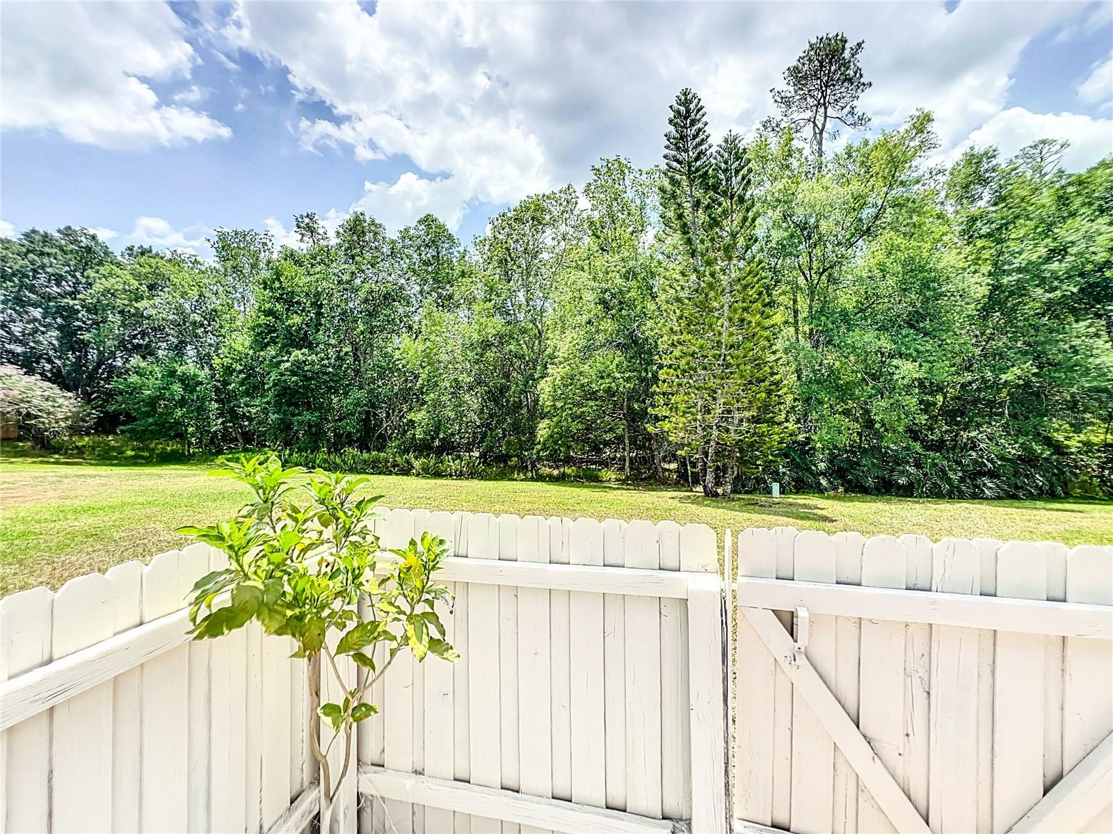 5716 DELANO LN, ORLANDO, FL, 32821