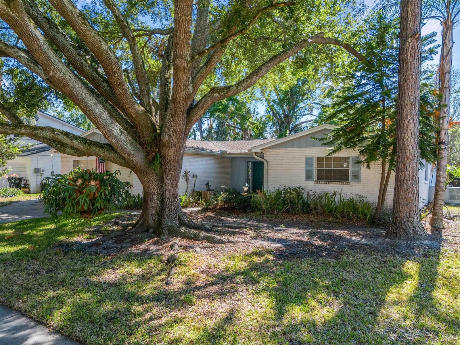12712 SEBRING BLVD, TAMPA, FL, 33618