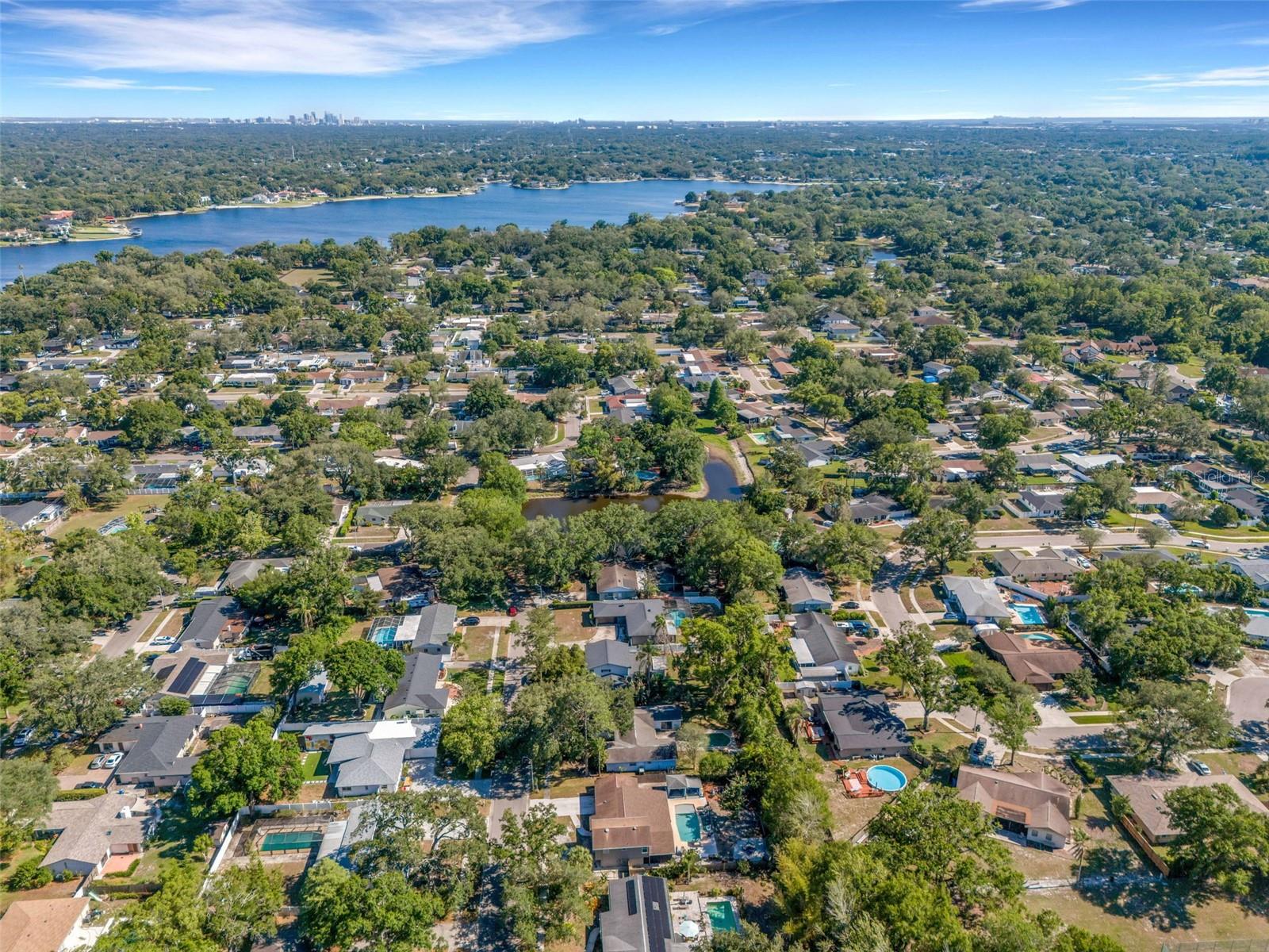 12712 SEBRING BLVD, TAMPA, FL, 33618