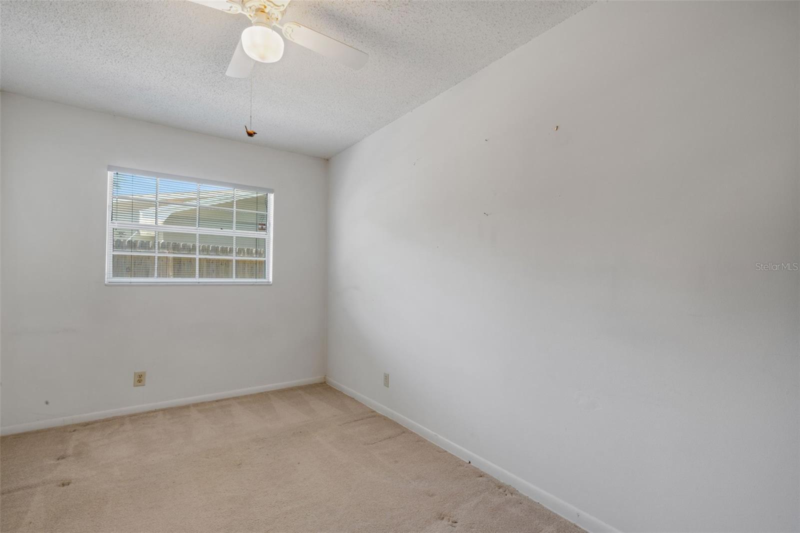 12712 SEBRING BLVD, TAMPA, FL, 33618
