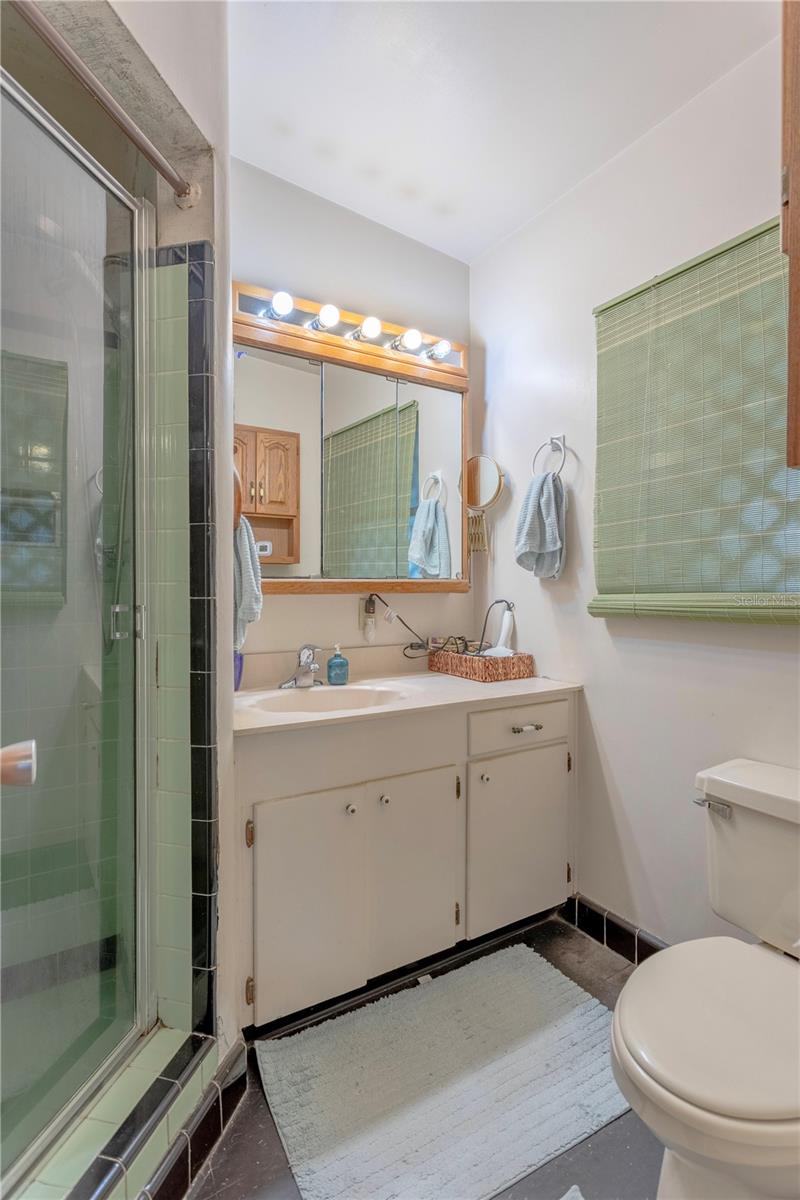 1310 ROSCOMARE AVE, ORLANDO, FL, 32806