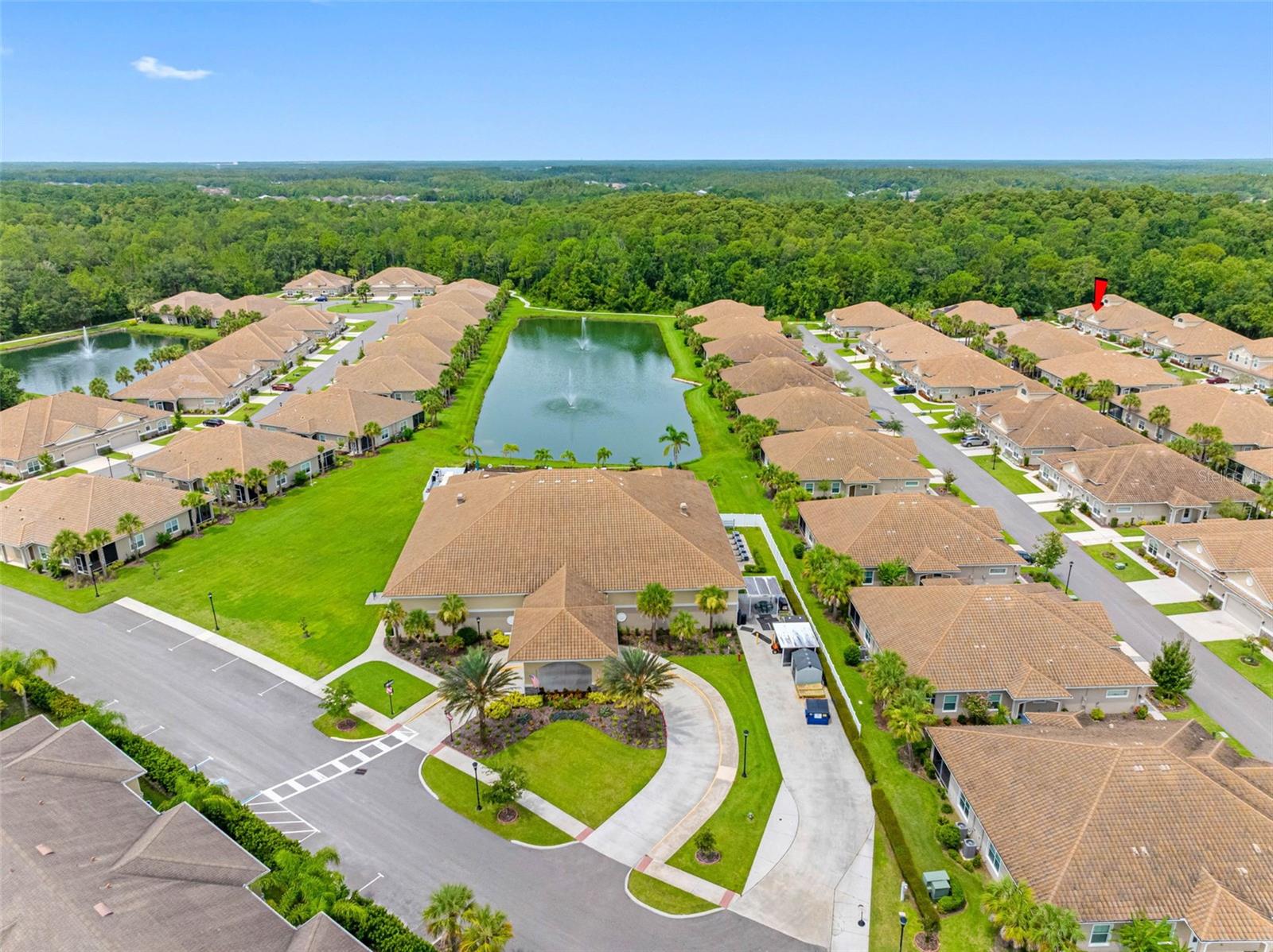 29817 GANGA WAY, WESLEY CHAPEL, FL, 33543