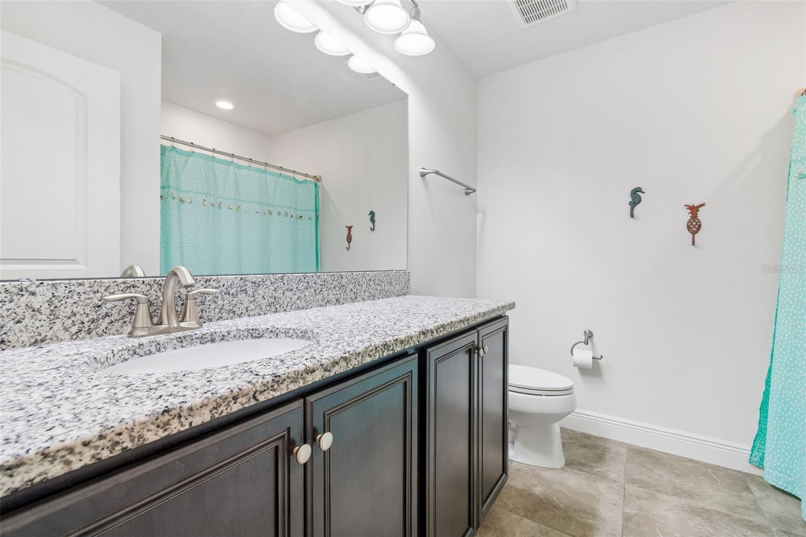 11523 LUCKYGEM DR, RIVERVIEW, FL, 33579