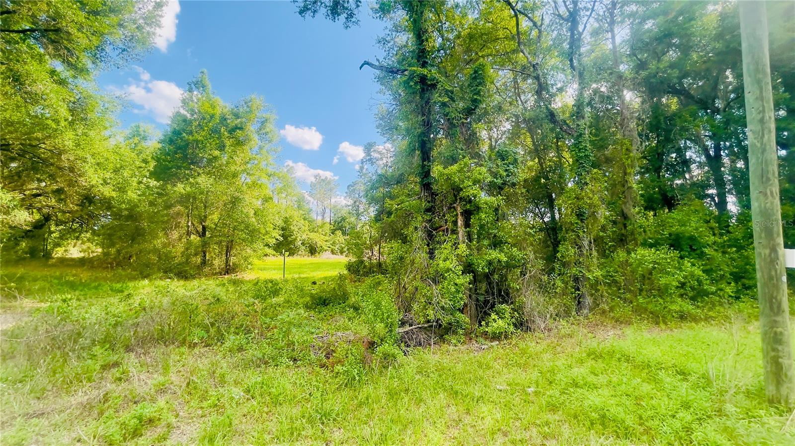 Lot 1 NE 66TH LN, BRONSON, FL, 32621