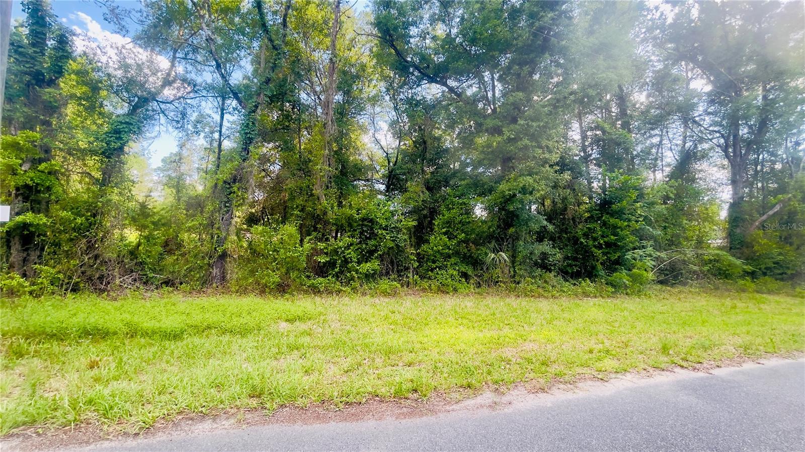 Lot 1 NE 66TH LN, BRONSON, FL, 32621