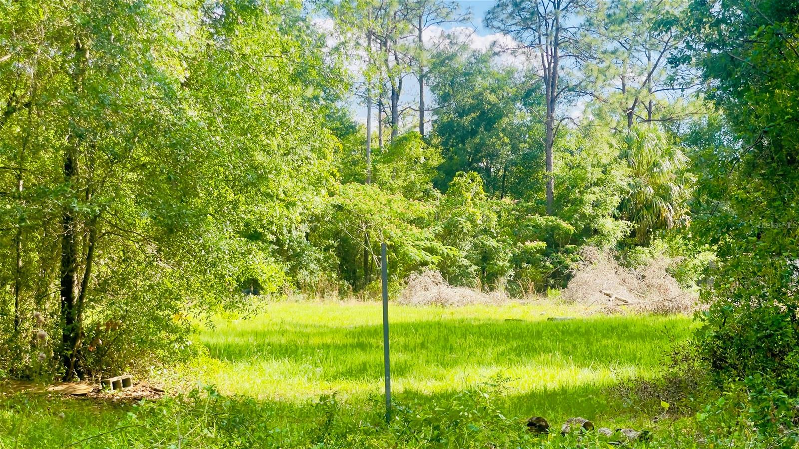 Lot 1 NE 66TH LN, BRONSON, FL, 32621