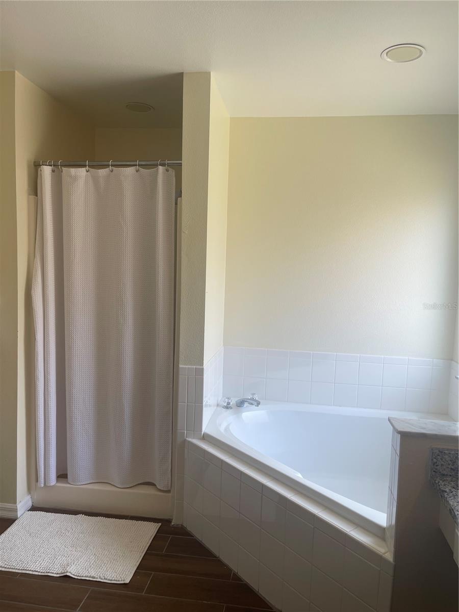 1336 CASTERTON CIR, DAVENPORT, FL, 33897