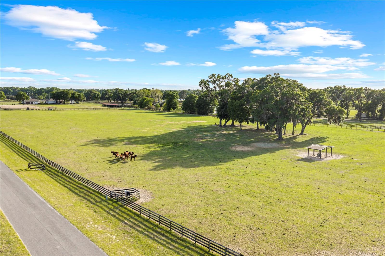 1345 NE 155 PLACE, CITRA, FL, 32113