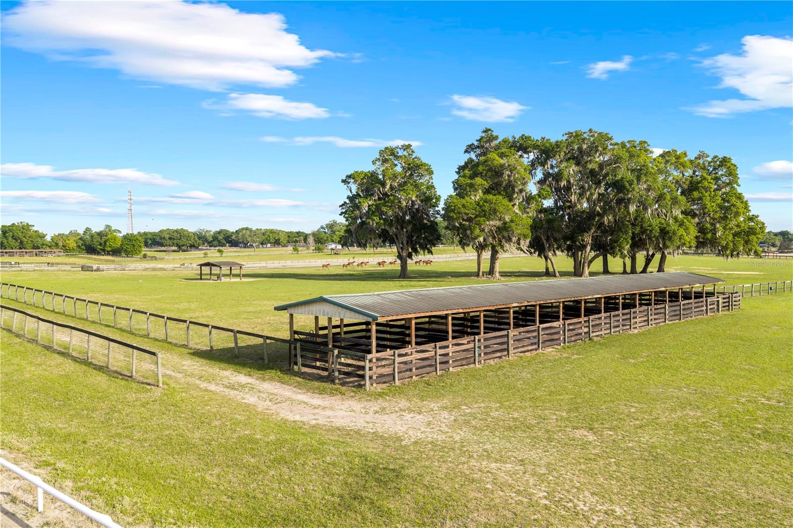 1345 NE 155 PLACE, CITRA, FL, 32113