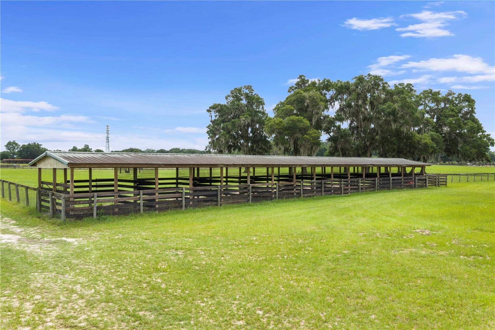1345 NE 155 PLACE, CITRA, FL, 32113