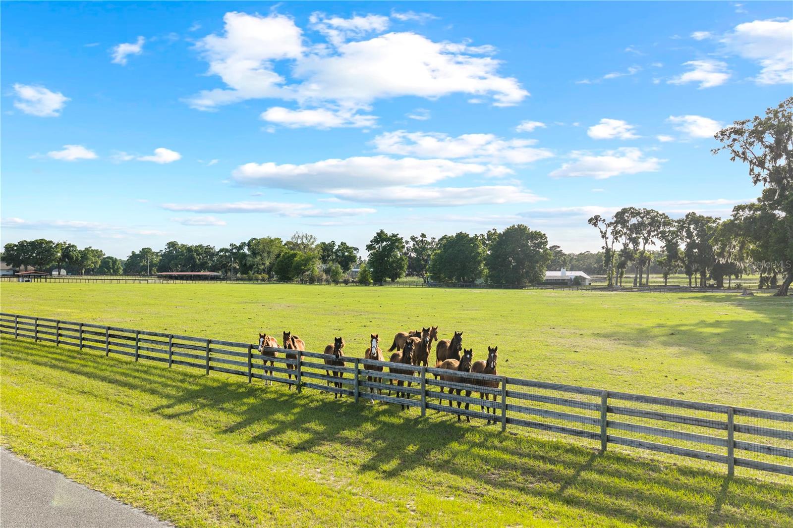 1345 NE 155 PLACE, CITRA, FL, 32113