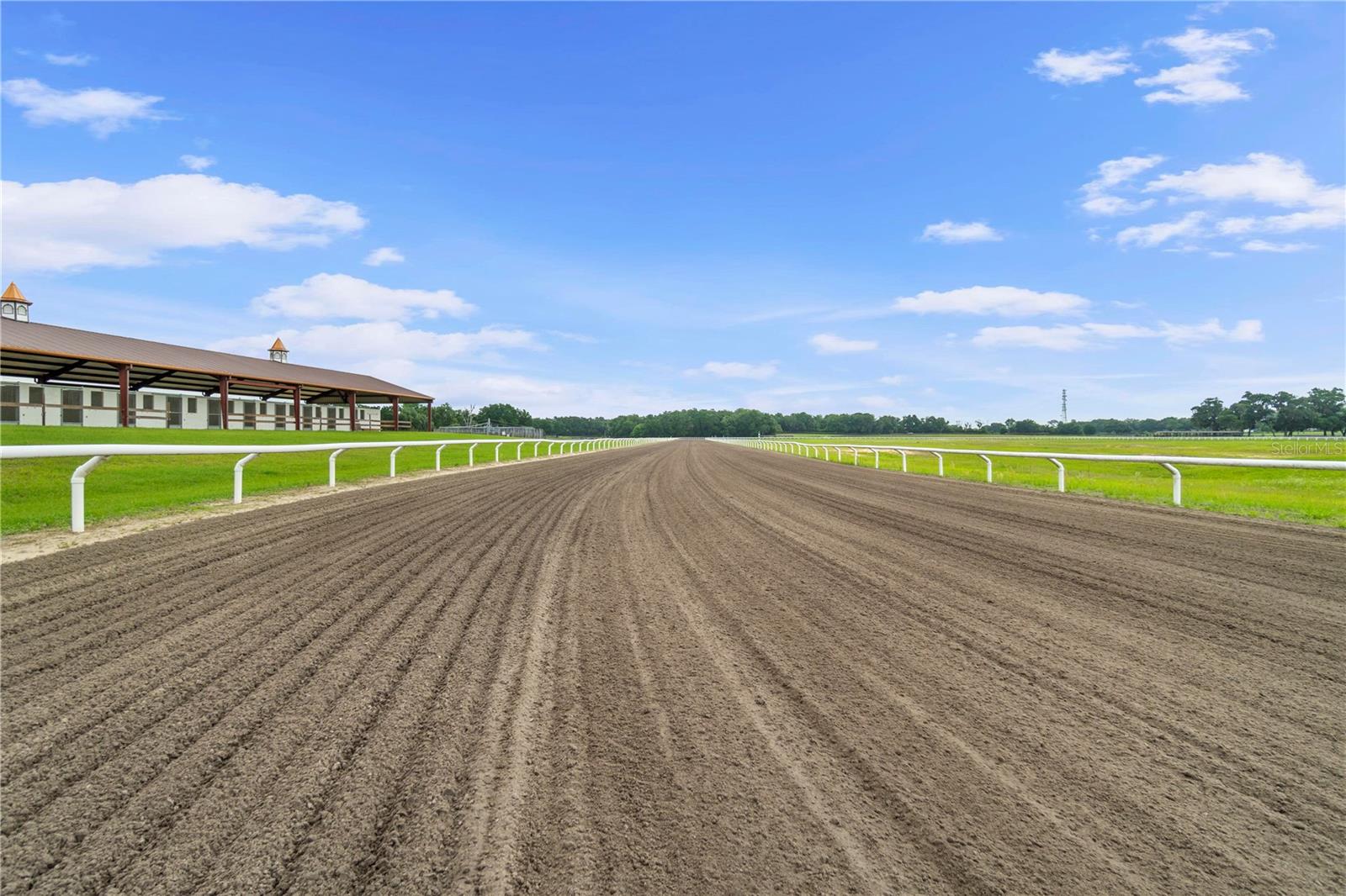 1345 NE 155 PLACE, CITRA, FL, 32113