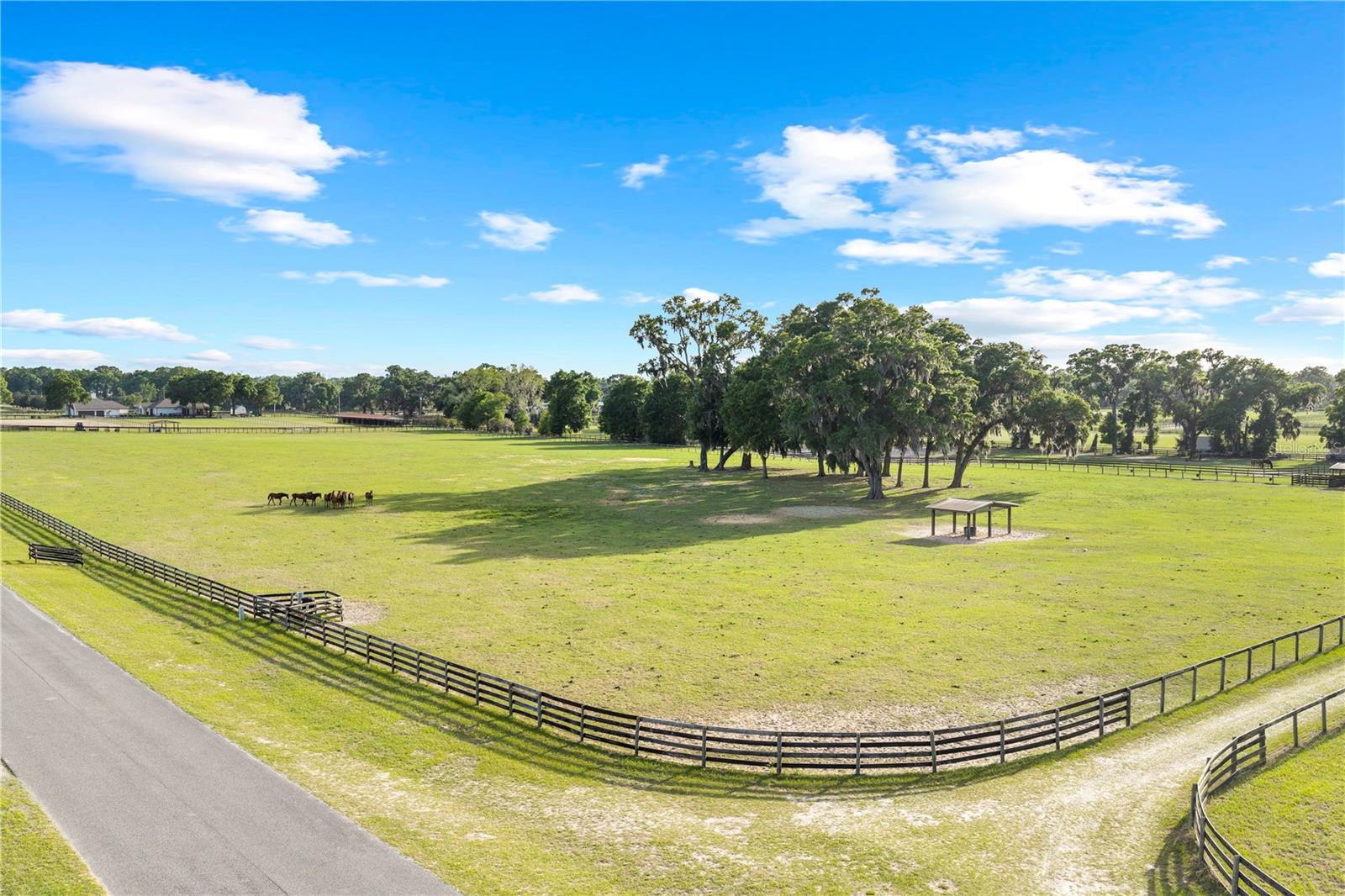 1345 NE 155 PLACE, CITRA, FL, 32113